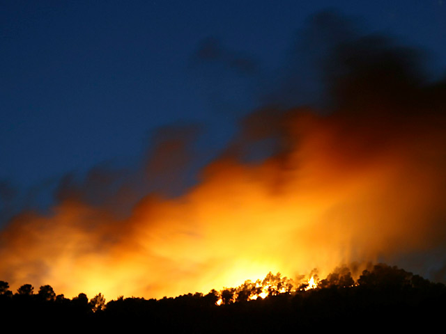 Arden 2.000 metros de terreno forestal de pino en un incendio en Calasparra