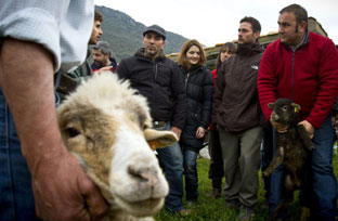 Andalucía. IV Escuela de Pastores