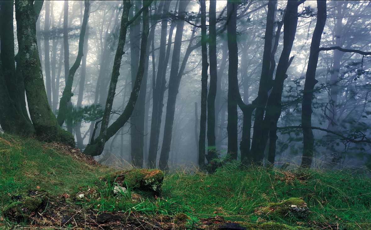 Castilla y León. Una delegación chilena estudia en Soria el modelo de gestión de los espacios naturales protegidos