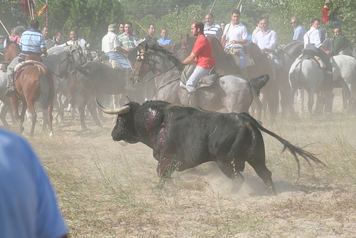 La Comisión de Medio Ambiente aprueba crear una subcomisión sobre protección animal