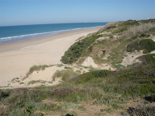 Proyecto europeo para la conservación de hábitats en el litoral andaluz