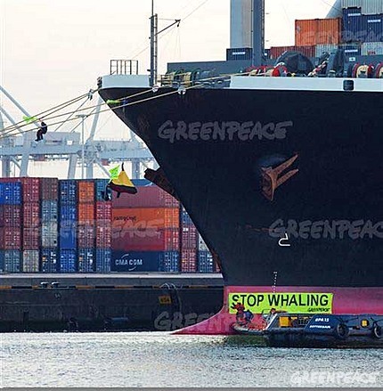 Greenpeace bloquea el transporte de carne de ballena en el puerto de Rotterdam