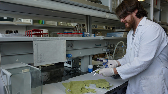 Ropa de poliéster contiene el tóxico antimonio