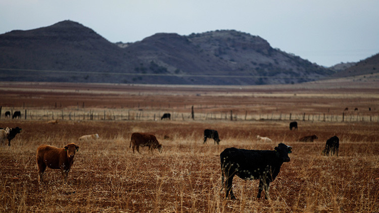 El cambio climático podría provocar migraciones de EE.UU. a México