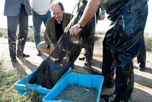 El humedal artificial de Veta La Palma contabiliza alrededor de 600.000 aves de casi 250 especies