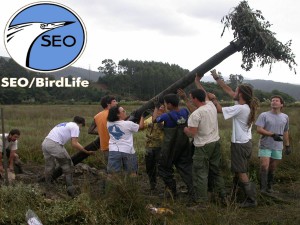 SEO/BirdLife renueva la certificación de su Sistema de Gestión Ambiental por AENOR según la norma ISO 14001