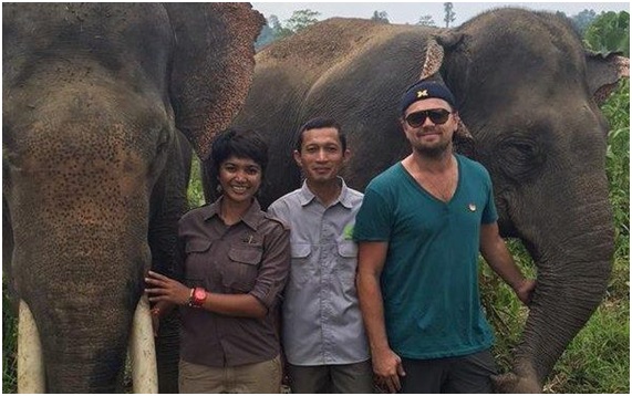 Leonardo DiCaprio pasó de denunciante a denunciado