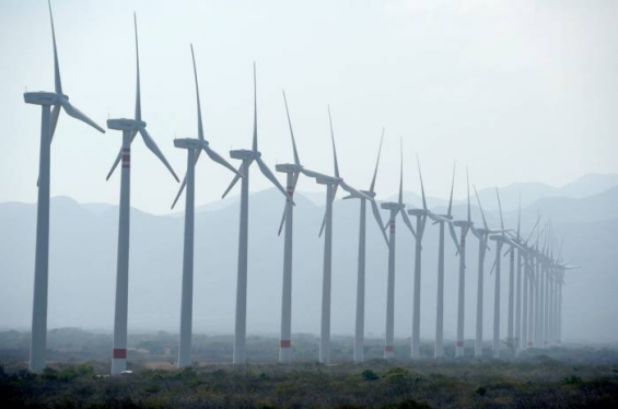 Yucatán se proyecta como mayor productor de energía renovable en 2018