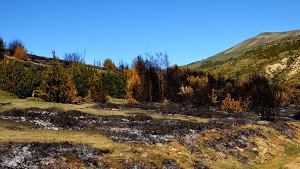 En Huesca llevan a cabo absurdas quemas en el monte de Santa Orosia