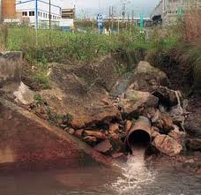 Ecologistas alertan sobre vertidos de aguas fecales al litoral en Sanlúcar