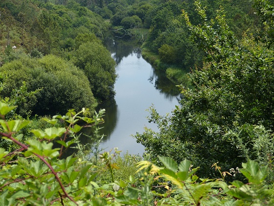 La actuación del Gobierno de España favorece ‘descaradamente’ los intereses de la megaminería del oro en Corcoesto (Galicia)