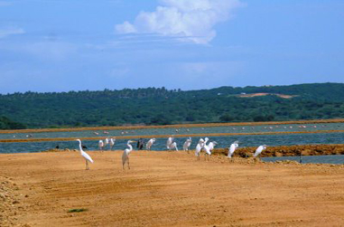 Minamb organiza Redes Comunitarias de Conservación en áreas protegidas