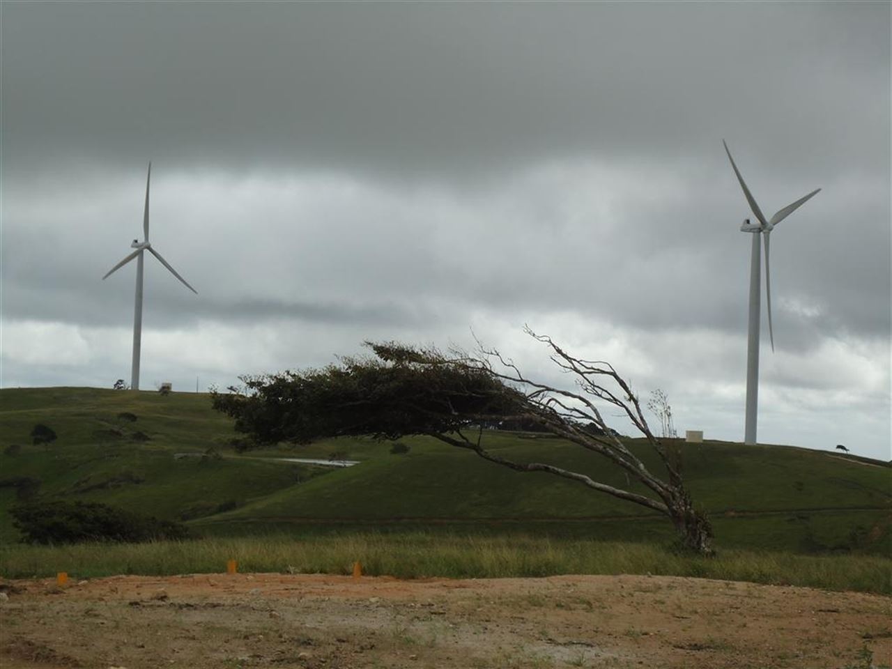 Gestamp Wind prevé alcanzar los 900 MW este año y superar los 1.000 MW en 2017
