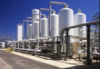 Murcia estudia el desarrollo de proyectos empresariales que preserven el medio ambiente