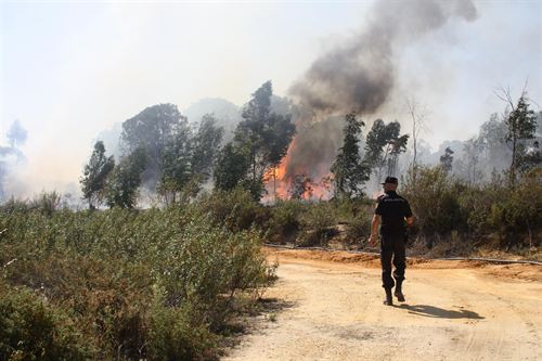 Andalucía. La Junta extrema las medidas de vigilancia frente a incendios en las zonas donde no se han producido precipitaciones