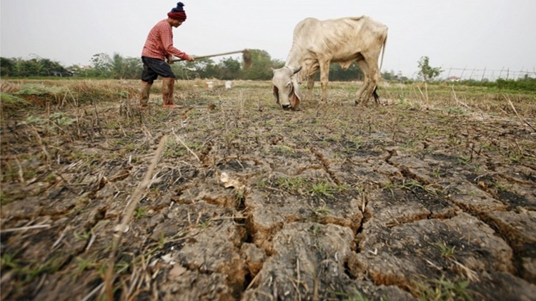 El 33% de los suelos del planeta está de moderada a altamente degradados