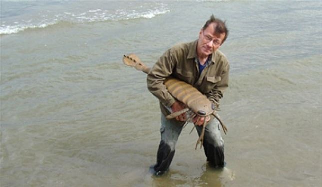 Casi ciego y con frágiles garras