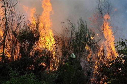 Controlados los cuatro incendios activos que se mantienen en Galicia