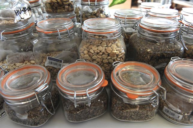 El Banco de Germoplasma de Especies Hortícolas del CITA colabora con el mantenimiento de la biodiversidad