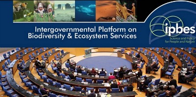 Lluís Brotons asiste como representante de la investigación catalana en biodiversidad en la tercera sesión plenaria de IPBES