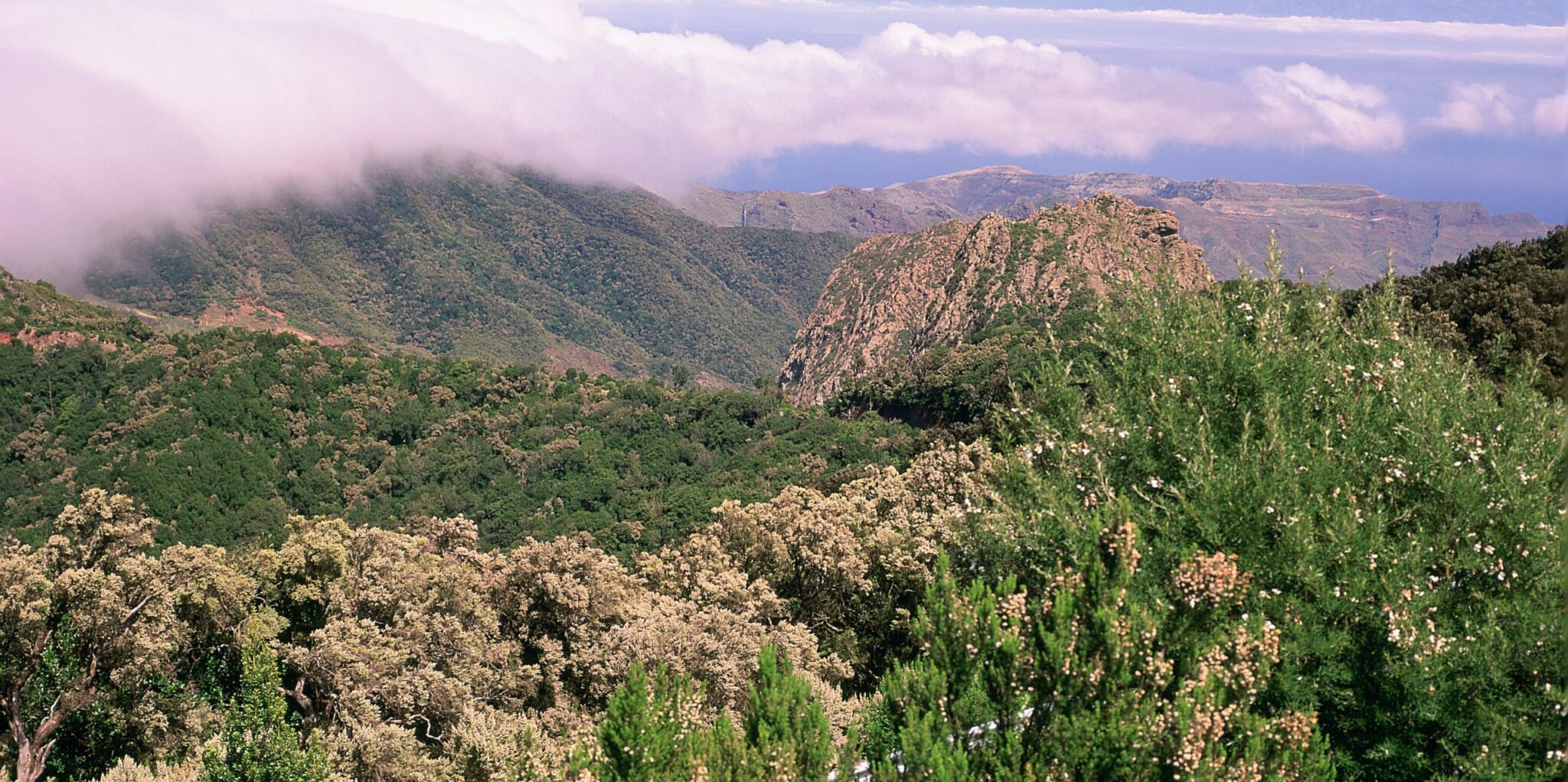 Construcción del Camino Natural Cumbres de La Gomera