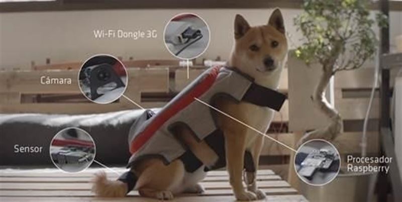 Gracias a la tecnología podemos saber cuándo está contento un perro