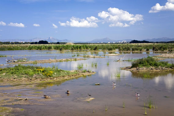 El Parque Natural de l’Albufera protegido por voluntarios