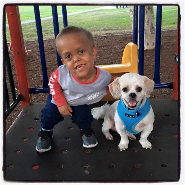 Pequeños ‘amigos’