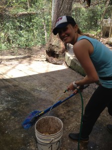 Voluntariado con animales en Guatemala