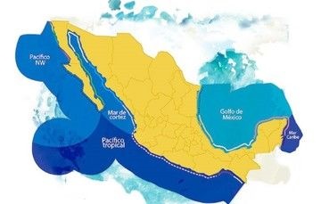 Alguna vez pensaste en cuán diferentes pueden ser las playas que hay en México