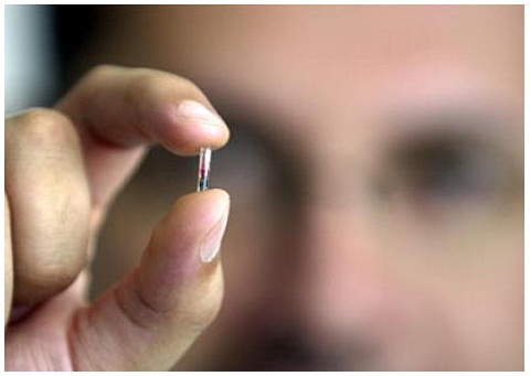 Camargo (Cantabria) subvencionará la mitad del coste de los microchips para mascotas