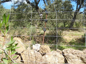 Una finca de caza cordobesa se pasa por ‘el arco del triunfo’ las resoluciones judiciales