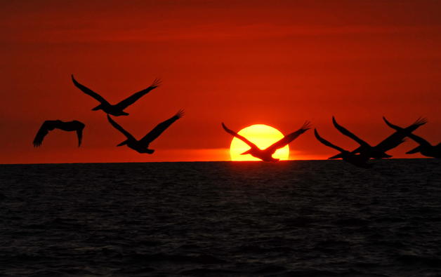 Nicaragua. Nicaragua creará una red de destinos verdes