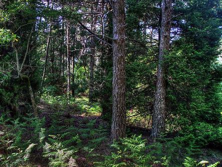 La provincia de Sevilla recibirá una inversión de 22