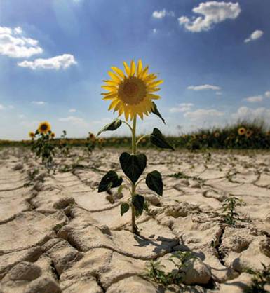 La Generalitat establece 100 medidas para luchar contra el cambio climático