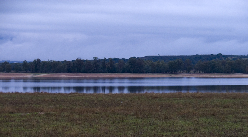 Satisfacción de las ONG ecologistas por la  Declaración de Impacto Ambiental negativa al recrecimiento del Embalse de Rosarito (Toledo)