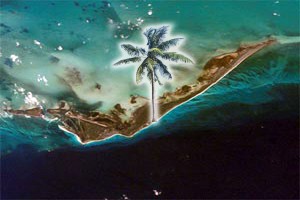 Cuba conserva sus ecosistemas más representativos perfectamente