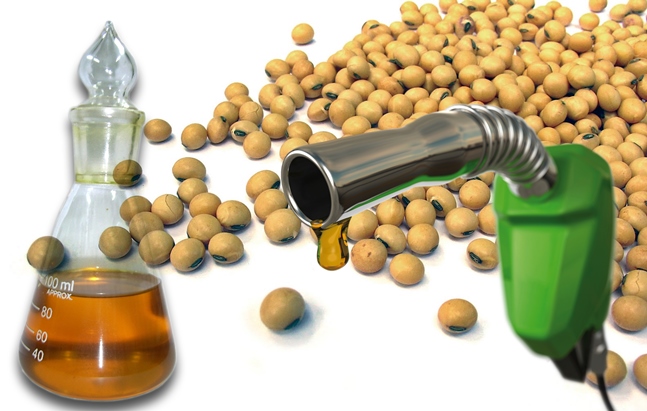 Agrocombustibles y Europa