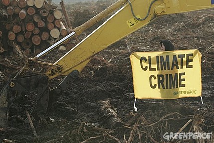 Greenpeace denuncia la complicidad del sector de envases y embalajes de cartón con la deforestación