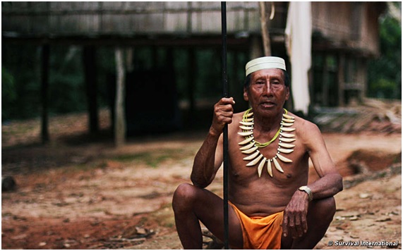Amazonia peruana protegida por Sierra del Divisor