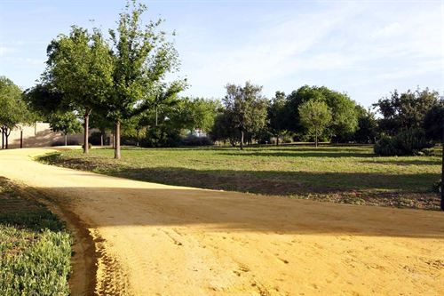 Sevilla. Mairena del Aljarafe aprueba las ordenanzas para iniciar más de una treintena de huertos urbanos