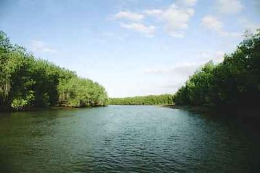 Santuario nacional Los manglares de Tumbes cumple 23 años como área natural protegida