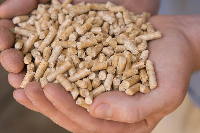Muy pronto arrancará la mayor fábrica de pellets de España
