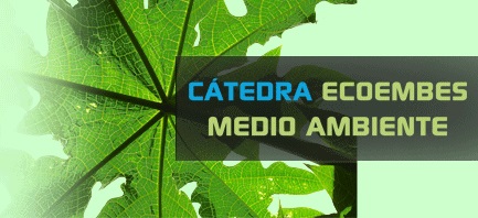 El próximo lunes día 8