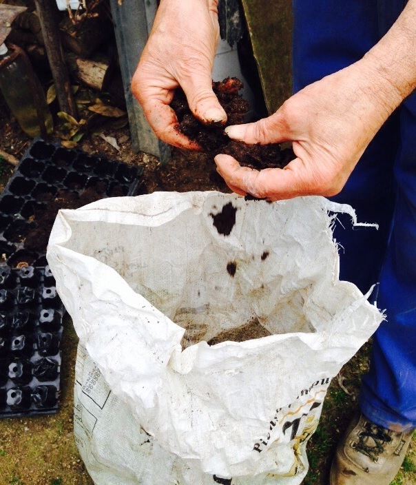 Soutomaior (Galicia) arranca el compostaje doméstico