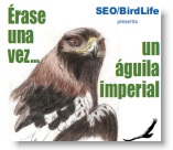 Castilla- La Mancha y Andalucía se alzan con los primeros premios del concurso ‘Érase una vez…un águila imperial’
