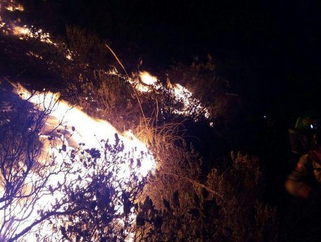Detenido un joven en relación con el incendio forestal declarado en un paraje de Marbella