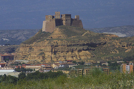 Problemas con el proyecto de incineradora de biomasa de Monzón