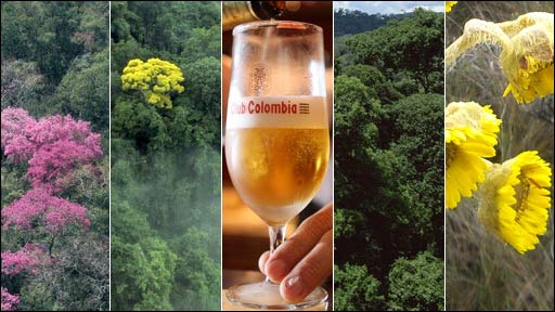 Quién paga por el medio ambiente A. Latina da el ejemplo