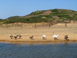 Menorca. Binimel · là: la recuperación de un patrimonio natural amenazado